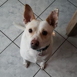 Meet your Posher, Sheena